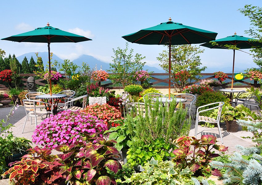 🌿 히루젠 허브 가든 허빌 이미지 1